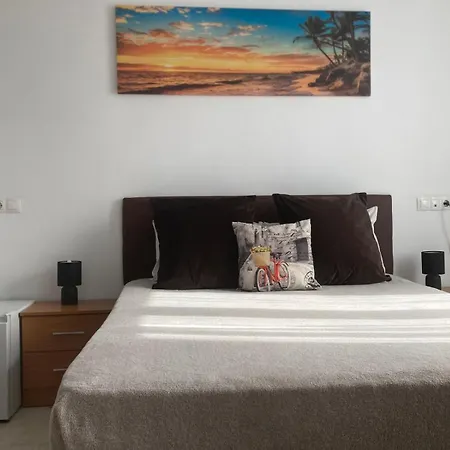 With Private Bathroom And Balcony Nearby The Mercado Central, Center And Apartment Alicante